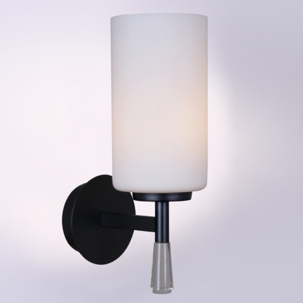 il2218_1wls_24_svetil_nik_nastennyy IL2218-1WLS-24 HIGHBALL светильник настенный