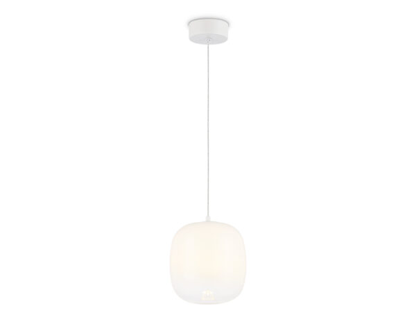 LH11091 LH11091 WH/FR белый/белый матовый 4W 3000K D150*170