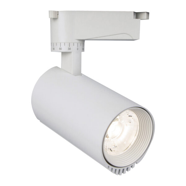 C5BDAD13693972550144_0 Escada 20031TRA/03 LED 30W 4200K белый матовый