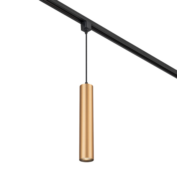 Escada 20001TRP/01 GU10 латунь матовая Escada 20001TRP/01 GU10 латунь матовая