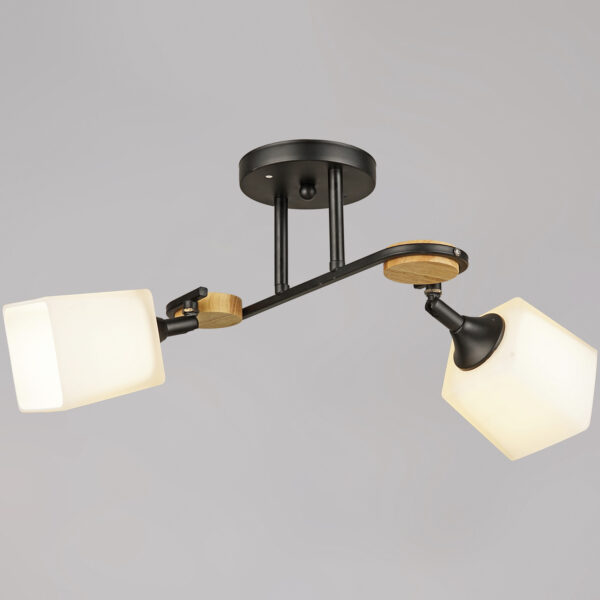 04217-0.3-02 BK светильник потолочный 04217-0.3-02 BK светильник потолочный