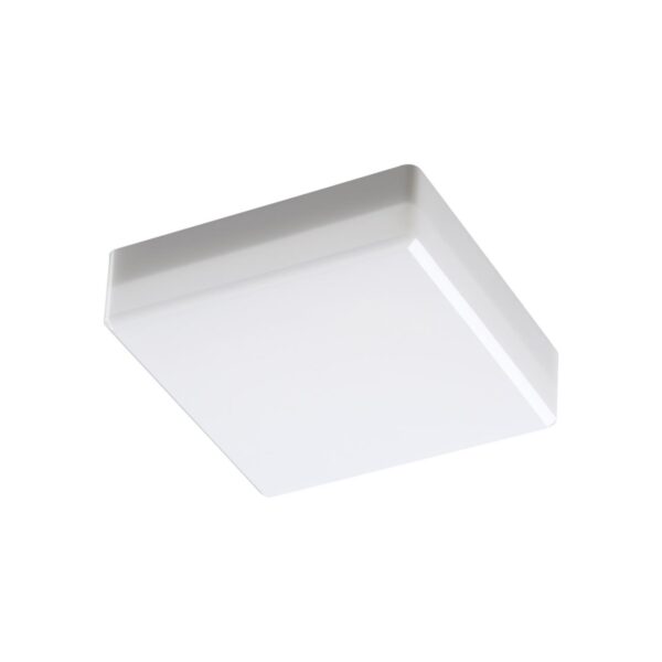 1088f22bcf58a16f8f1b33d89fdf5a98 358686 OVER NT21 525 белый Светильник накладной влагозащищенный IP54 LED 4000K 10W 100-240V PANDORA