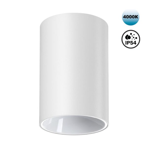 418035da31e94fa2639c0648f69c2576 359417 OVER NT24 376 белый Светильник накладной влагозащищенный IP54 LED 10W 170-265V 4000К 830Лм RECTE