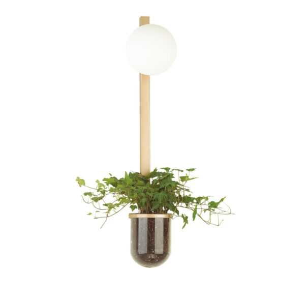 4d45f6cb36a9a61dd572def885627dff 4682/1WB WALLI ODL20 685 золото/белый Настенный светильник E14 1*40W 220V FLOWER