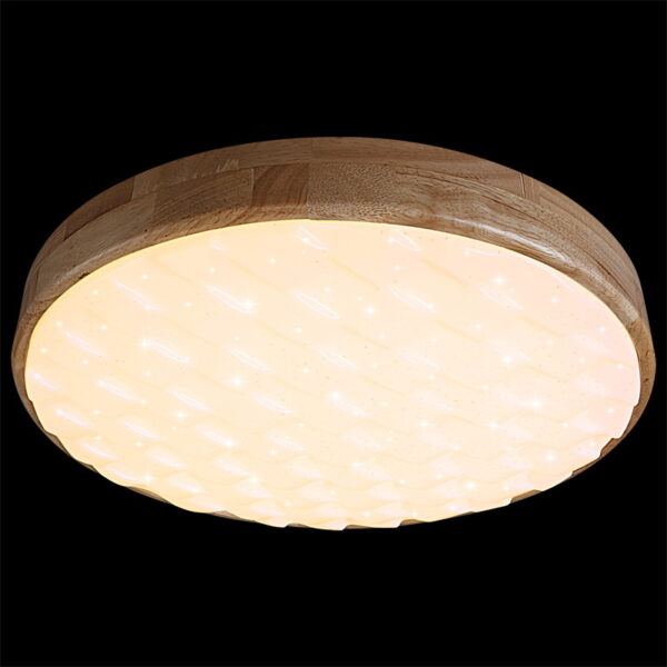 60530-0.2-60W светильник потолочный 60530-0.2-60W светильник потолочный