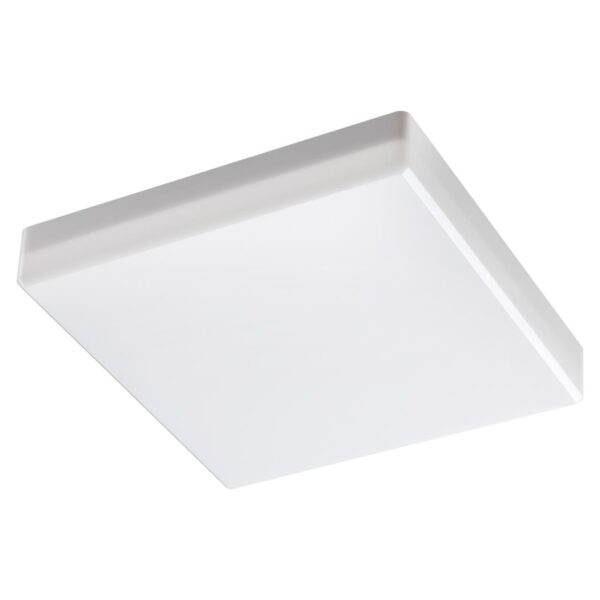 c42df0a585c9f2d534d210efab003a15 358688 OVER NT21 525 белый Светильник накладной влагозащищенный IP54 LED 4000K 20W 100-240V PANDORA