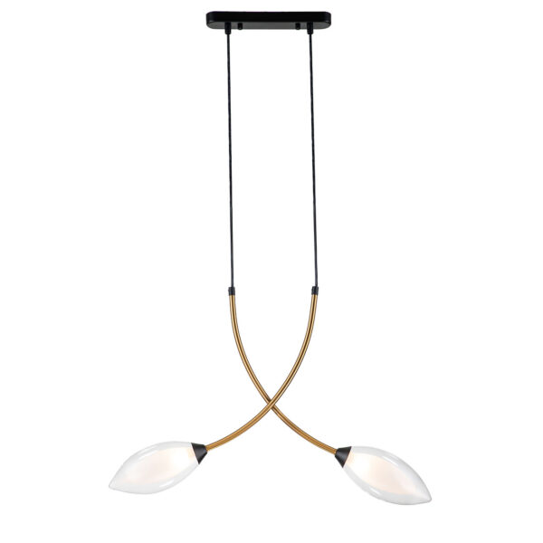 13001/2P Black 13001/2P Black