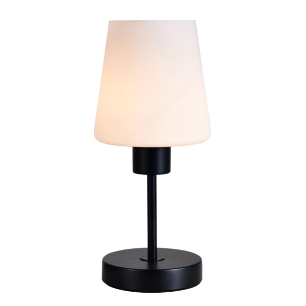 Дизайн без названия - 1 120004/1T E27*60W Black