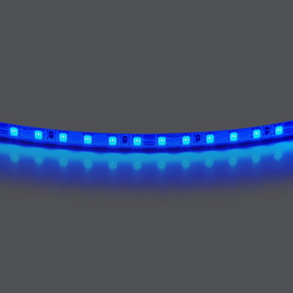 8db87e1c4af411ee8145c81f66f678b0_9dfd6c7853c711ef80c0c81f66f678af 420515 Лента LIGHTSTAR LED 24V 12W 120leds/M 1600 LM/M синий IP20 1шт = 5м