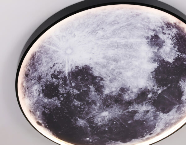 FW11113_macro1 FW11113 BK черный 31W LED 3000-6400K D500*38