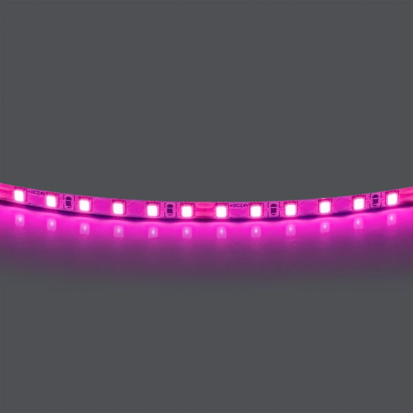 a036049f4af211ee8145c81f66f678b0_7130d42853c411ef80c0c81f66f678af 420512 Лента LIGHTSTAR LED 24V 12W 120leds/M 1600 LM/M розовый IP20 1шт = 5м