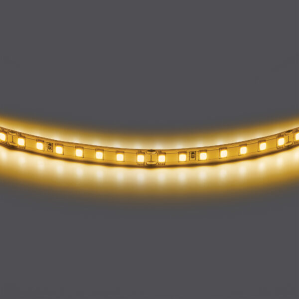 ff0233d624b011ef80c0c81f66f678af_5f96ee25736411f080c0c81f66f678af 420843 Лента двухсторонняя LIGHTSTAR LED 24V 12W 360G 5m/roll 3000K