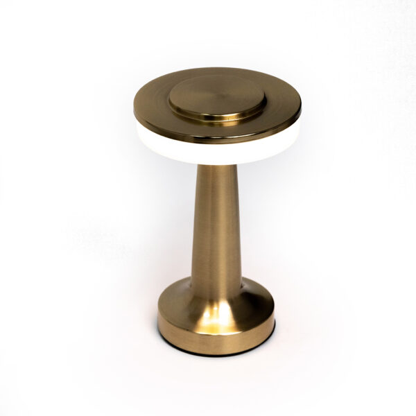 F59B4E9C0E099AEF7A85_0 Escada 10258/L LED*3W Brass