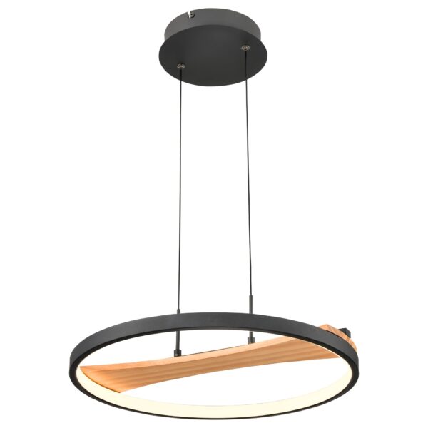 e01crtqmwpr760qa7565t3oio39s62ja-1 450-043-01 VELANTE Светильники с LED светильник подвесной, LED, 25W, 3000K