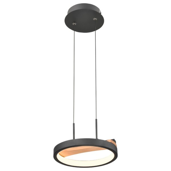 qhr6xojt7rmart4dtu2dzkj59id8xkkr-1 450-023-01 VELANTE Светильники с LED светильник подвесной, LED, 9W, 3000K