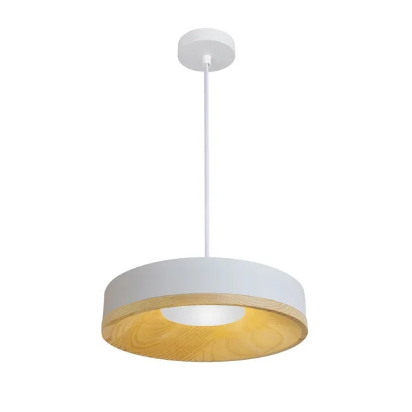 0-1677 5119/33 SP-12 СВЕТИЛЬНИК ПОДВЕСНОЙ