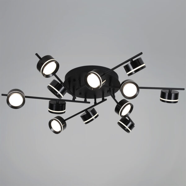 1433460_1 10590-0.3-12 Black светильник потолочный