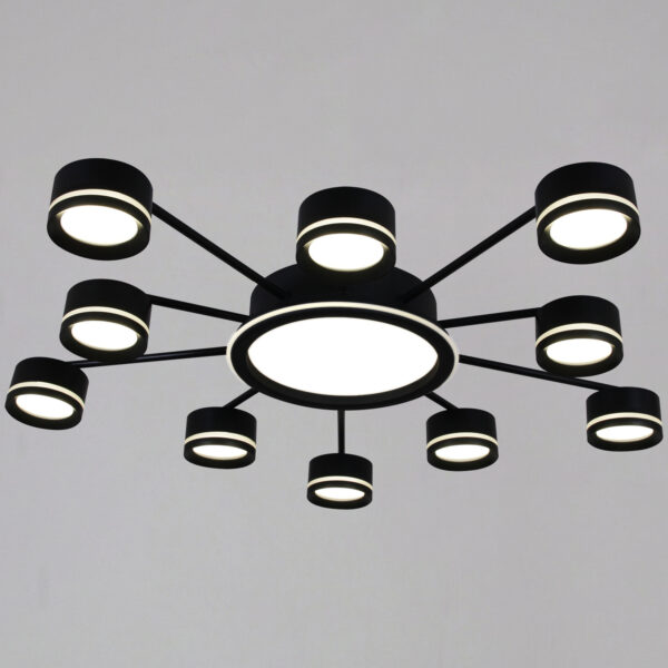 1433465_1 20590-0.3-5+5+1 Black светильник потолочный