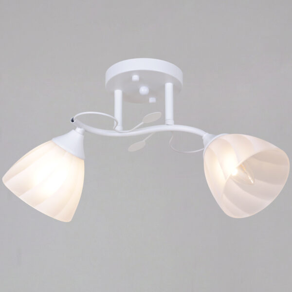 1433951_1 62560-0.3-02 WH светильник потолочный