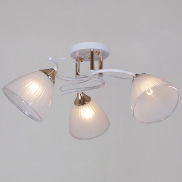 1433955_1 64460-0.3-03 WH+FG светильник потолочный