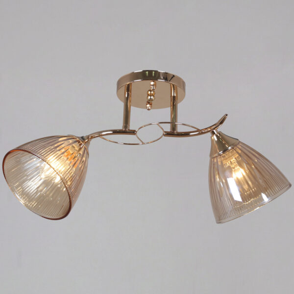 1433959_1 02560-0.3-02 FG светильник потолочный