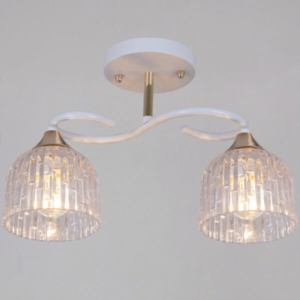 1433965_1 16360-0.3-02 WH+FG светильник потолочный