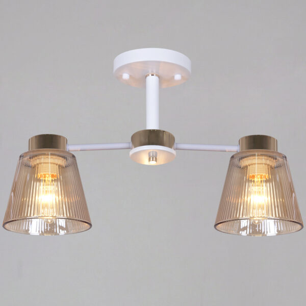 1433988_1 20560-0.3-02 WH+FG светильник потолочный