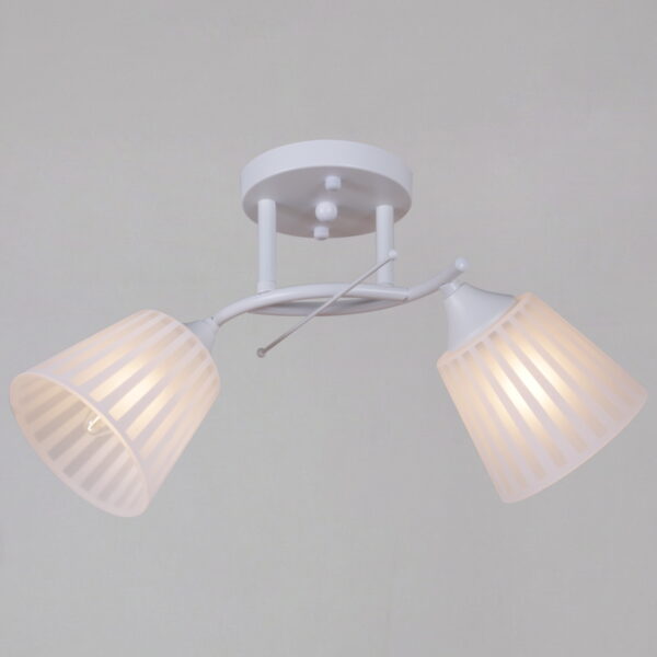 1433994_1 82460-0.3-02 WH светильник потолочный