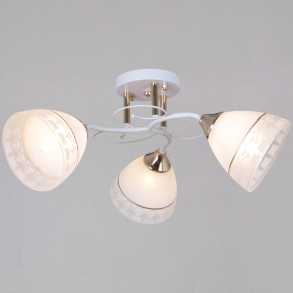 1434006_1 11460-0.3-03 WH+FG светильник потолочный