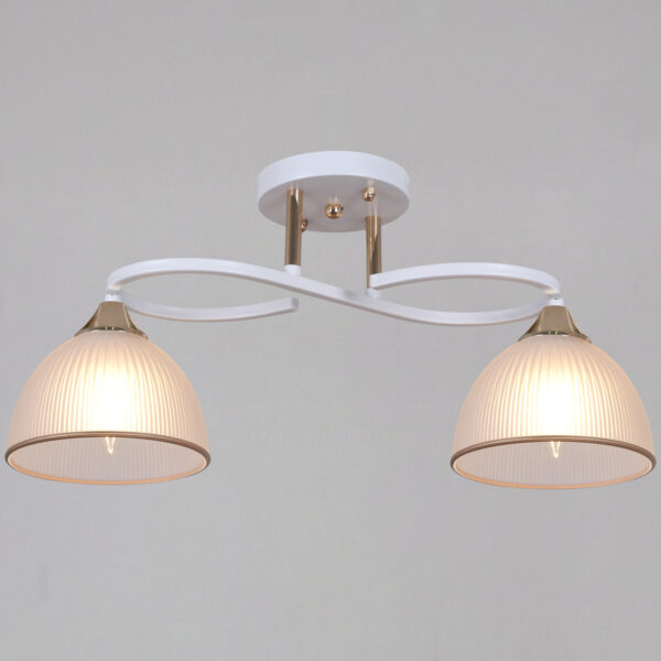 1434019_1 68560-0.3-02 WH+FG светильник потолочный