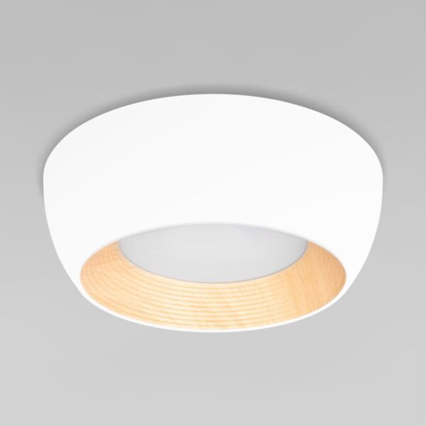2d6e8304efa111dc5cd76eeddb6e6fae 10255/350 White Потолочный светильник LOFT IT Folk