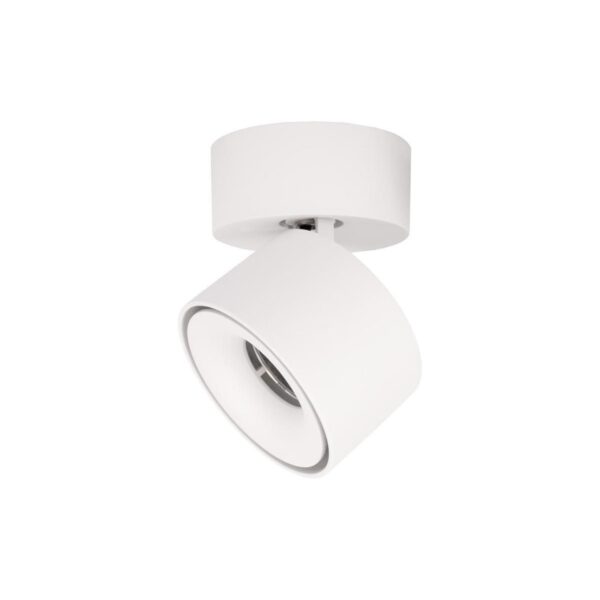 2dde15af02bd82d69babdd281d303b60 10323/A White Накладной светильник LOFT IT Focus