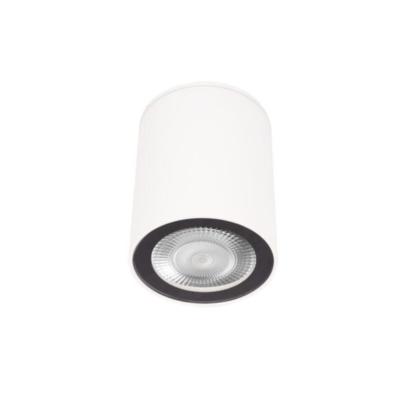 4e009d9b56cfce75f01c67492c773d49 10344 White Накладной светильник LOFT IT Rush