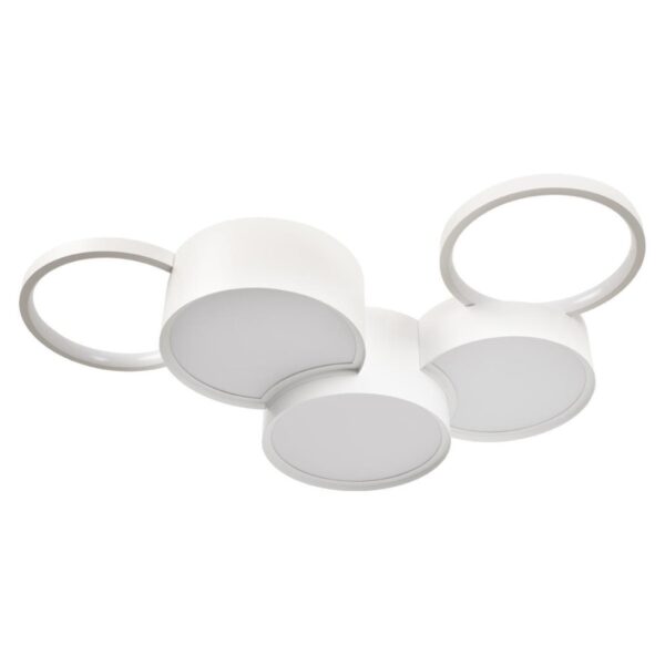 6a2b43725fb12cc0f0be3ca9c2412c1a 10317/5 White Потолочный светильник LOFT IT Pin