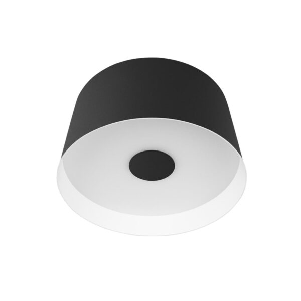 770f572c3f88fc71d924009f6c8eb008 10360S Black Потолочный светильник LOFT IT Duo