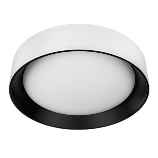 8e516f014224f2bb026bb49fb7f89995 10202 WB Потолочный светильник LOFT IT Coin