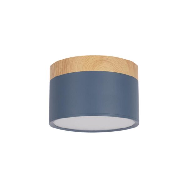 90f3b9df6ce8376f688f19c32f417ad9 10162 Blue Накладной светильник LOFT IT Grape