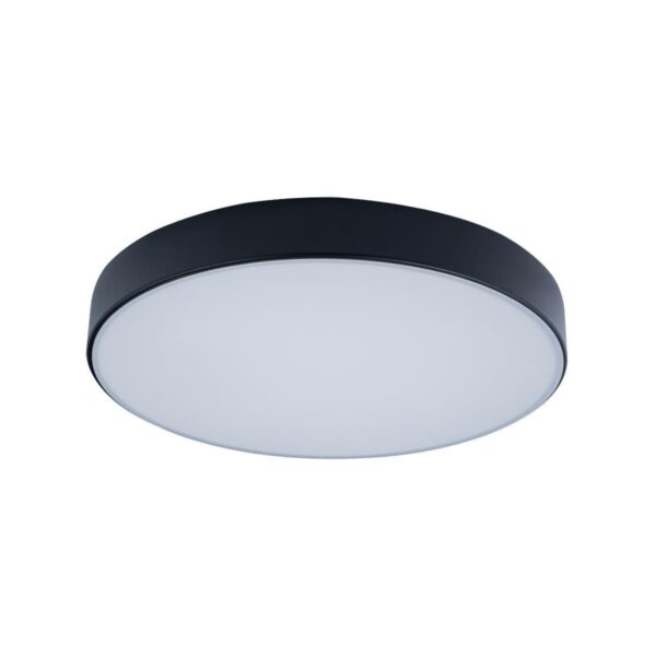 925697f0e53ec7daaedbdbf7a1e52f4c 10002/24 Black Потолочный светильник LOFT IT Axel