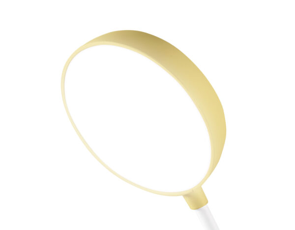 DE611_macro1 DE611 YL/WH желтый/белый LED 3000-6000K 4W