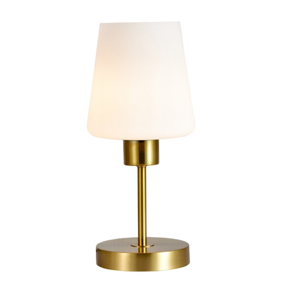 Дизайн без названия - 1 120004/1T E27*60W Gold