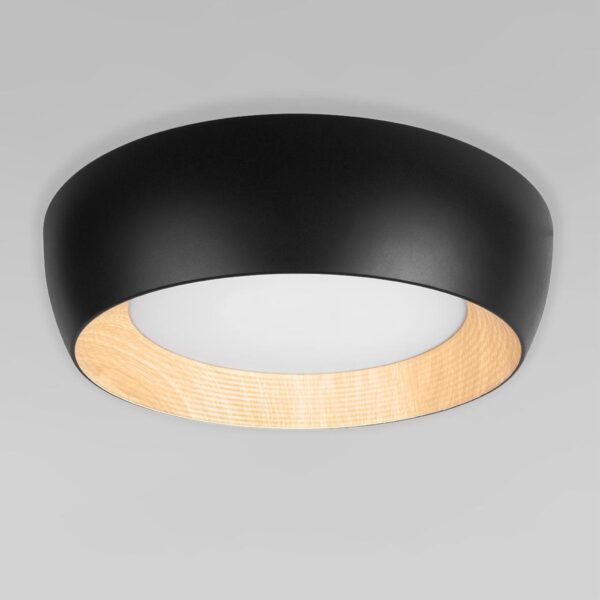 a67dea4b15d64d0a542cd59c207036c7 10255/500 Black Потолочный светильник LOFT IT Folk