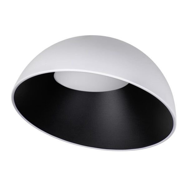 c6617dde6a51fa2816f12d13149f225e 10197/500 WB Потолочный светильник LOFT IT Egg