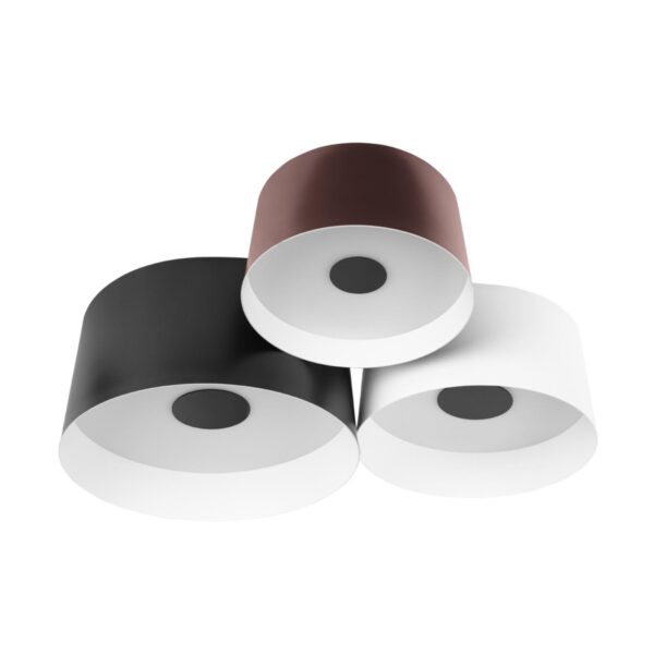 ca90773dc4a9d911f050f859133d8e93 10360/3 Потолочный светильник LOFT IT Duo