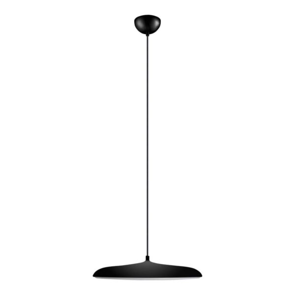 d84e550a886de8acff8f8227a3c85ca7 10119 Black Подвесной светильник LOFT IT Plato