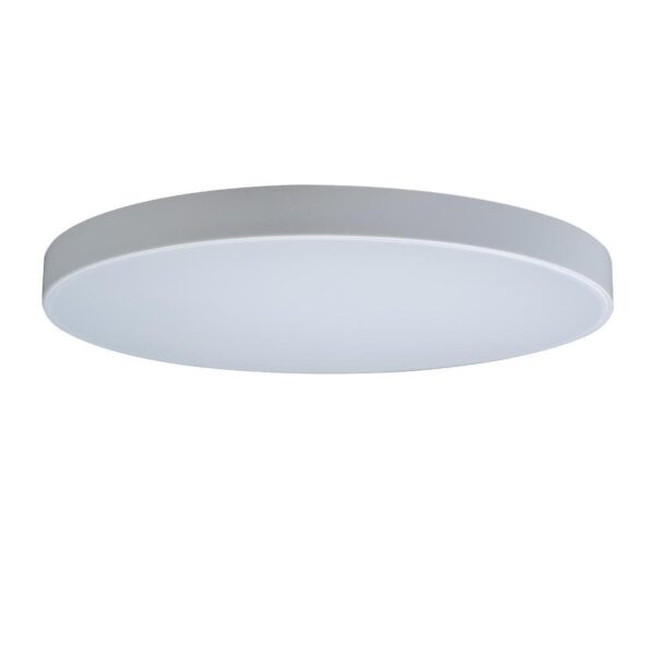 d853efa7d39bf4e151b7af1ea03a6ab5 10002/48 White Потолочный светильник LOFT IT Axel