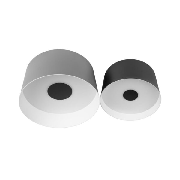 e9031803510040858f6d07c5f19897d5 10360/2 Потолочный светильник LOFT IT Duo