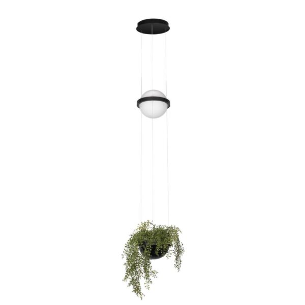 7e839b9bb84f4db52bd86dc76161c2e7 10121/B Подвесной светильник LOFT IT Jardin