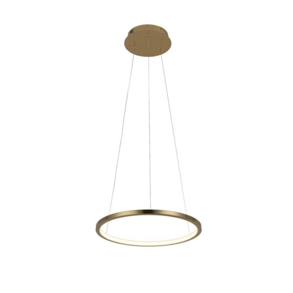 cd5e97d9a356917f972ac8b972df9f80 10014S Подвесной светильник LOFT IT Ring